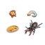 Loading Image 2 of 2