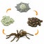 Loading Image 2 of 2