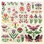 Rosewood Manor Cross Stitch Designs - Dreaming of Iris Carousel 1