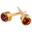 Studex Gold Studs. Carousel 14