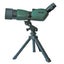 Loading Image 1 of 1