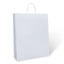 Paper Bag - Twist Handle #22 BL PLAIN White (250pcs) Carousel 1