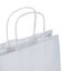 Paper Bag - Twist Handle #22 BL PLAIN White (250pcs) Carousel 2