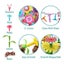 104 PCS Grow Your Own Flowers Garden Building Toys For Kids Educational Activity Carousel 6