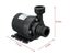 DC 12V Lift 5m 800L/H Ultra Quiet Brushless Motor Submersible Pool Water Pump Carousel 6