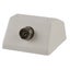 75 Ohm TV Floor Socket with F59 Connection Carousel 2