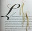 Long Gold Boho Premium Crystal Tassel Earrings "Stella" Carousel 7