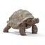 Schleich Wild Life - Giant Tortoise Carousel 1