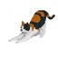 Loading Image 1 of 2
