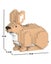 Loading Image 2 of 2