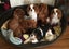 Pedigree Cavalier King Charles Spaniels Carousel 4