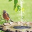 Solar Water Fountain for Bird Bath, Pond, Pool, Garden and Outdoor Decor A02 Carousel 4
