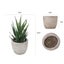 6PCS Artificial Potted Succulent Plants Carousel 5