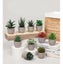 6PCS Artificial Potted Succulent Plants Carousel 6