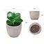 6PCS Artificial Potted Succulent Plants Carousel 7