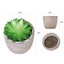 6PCS Artificial Potted Succulent Plants Carousel 10
