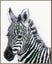 Vervaco Cross Stitch Kit - Zebra Carousel 1
