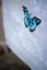 Vervaco Cross Stitch Table Runner Kit - Butterfly dance Carousel 2