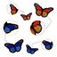 Multi-color Butterfly Iron-On Patches 48pcs Carousel 5