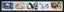 Loading Image 1 of 1