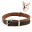 Genuine Leather Dog Double Layer Collar | TOUCHANDCATCH NZ Carousel 1