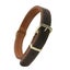Genuine Leather Dog Double Layer Collar | TOUCHANDCATCH NZ Carousel 3