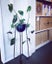 Tall Plant Stand with Black Pot Carousel 1