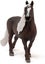 Schleich 13897 Black Forest stallion Farm World Carousel 3
