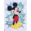 Disney Mickey Mouse No Count Cross Stitch Kit Carousel 2