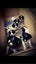 English Springer Spaniel Registered Stud Dog Carousel 6