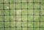Cat Netting 10m x 5m Black Carousel 1