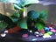 200Pcs Luminous Glowing Pebbles Stones Glow in the Dark Pebbles Fish Tank Decor Carousel 4