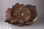 Timberly Gallery:Timberly Woodturning supplies Carousel 6