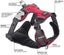 Red Dingo Padded Dog Harness Red XSmall Carousel 4