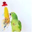NEW Bird Toy Parrot Cage Toys Bell Conure Chew Loofah Sponge Bite-resistant Carousel 2