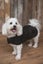 Outback Trading Clancy Oilskin Dog Coat - Sizes XS to 3XL Carousel 4