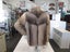 Nutria Full Pelt Fur Coat - Size 10-12 Carousel 4