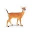 Loading Image 1 of 2