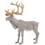 Loading Image 1 of 1