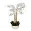 Orchid Real Touch in White Pot Carousel 1