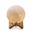 Moon Light Night Lamp 12cm diameter warm white or cool white Carousel 2
