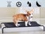 PTN NEW Dog Bed Sale - Sale Sale Carousel 8
