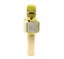 KTV KARAOKE MAGIC WIRELESS BLUETOOTH MICROPHONE SPEAKER Carousel 3