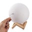 Moon Light Night Lamp 12cm diameter warm white or cool white Carousel 8