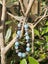 THIRD EYE CHAKRA CRYSTAL HEALING BRACELET - K2, Azumar, Iolite Stunning Combo Carousel 3