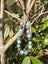 THIRD EYE CHAKRA CRYSTAL HEALING BRACELET - K2, Azumar, Iolite Stunning Combo Carousel 4