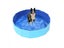 Dog Pool Foldable For Dogs Cats Kids Pet Bath Tub Carousel 6