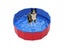 Dog Pool Foldable For Dogs Cats Kids Pet Bath Tub Carousel 8