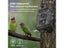 20MP 1080P Hunting Trail Camera Wildlife Tracking Surveillance HC804A Infrared Carousel 4