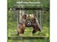 20MP 1080P Hunting Trail Camera Wildlife Tracking Surveillance HC804A Infrared Carousel 9